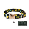 Naomi Pet Collar