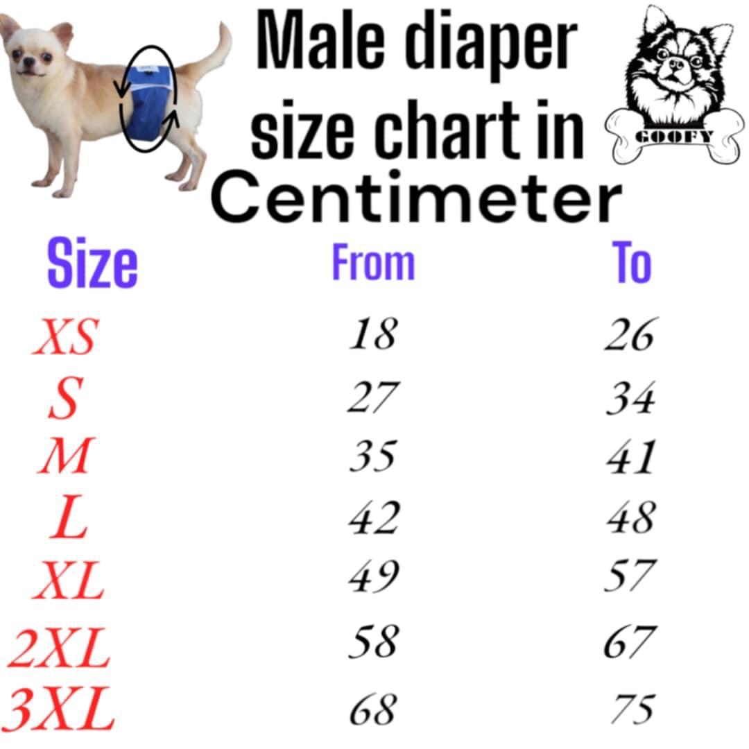 Goofy Male Diaper XS