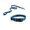 Naomi Dog Leash & Collar S