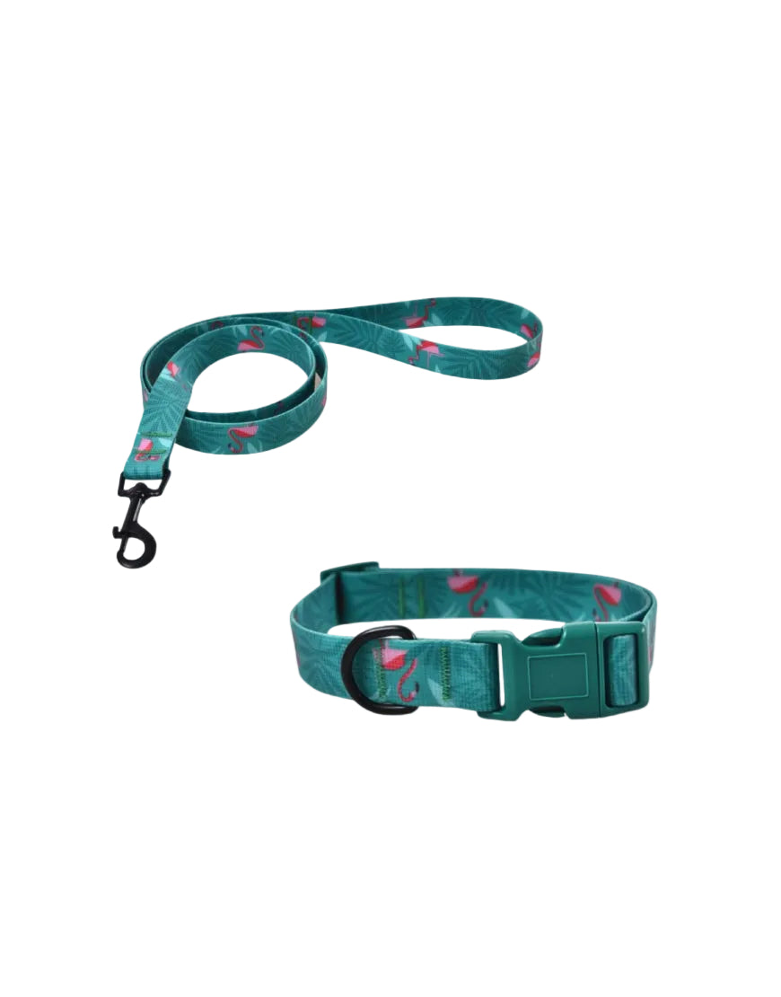 Naomi Dog Leash & Collar M