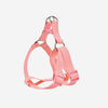 Naomi – YL109790 Pet Harness