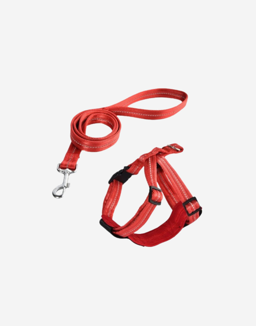 Naomi – YL117367 Pet Harness &Leash L