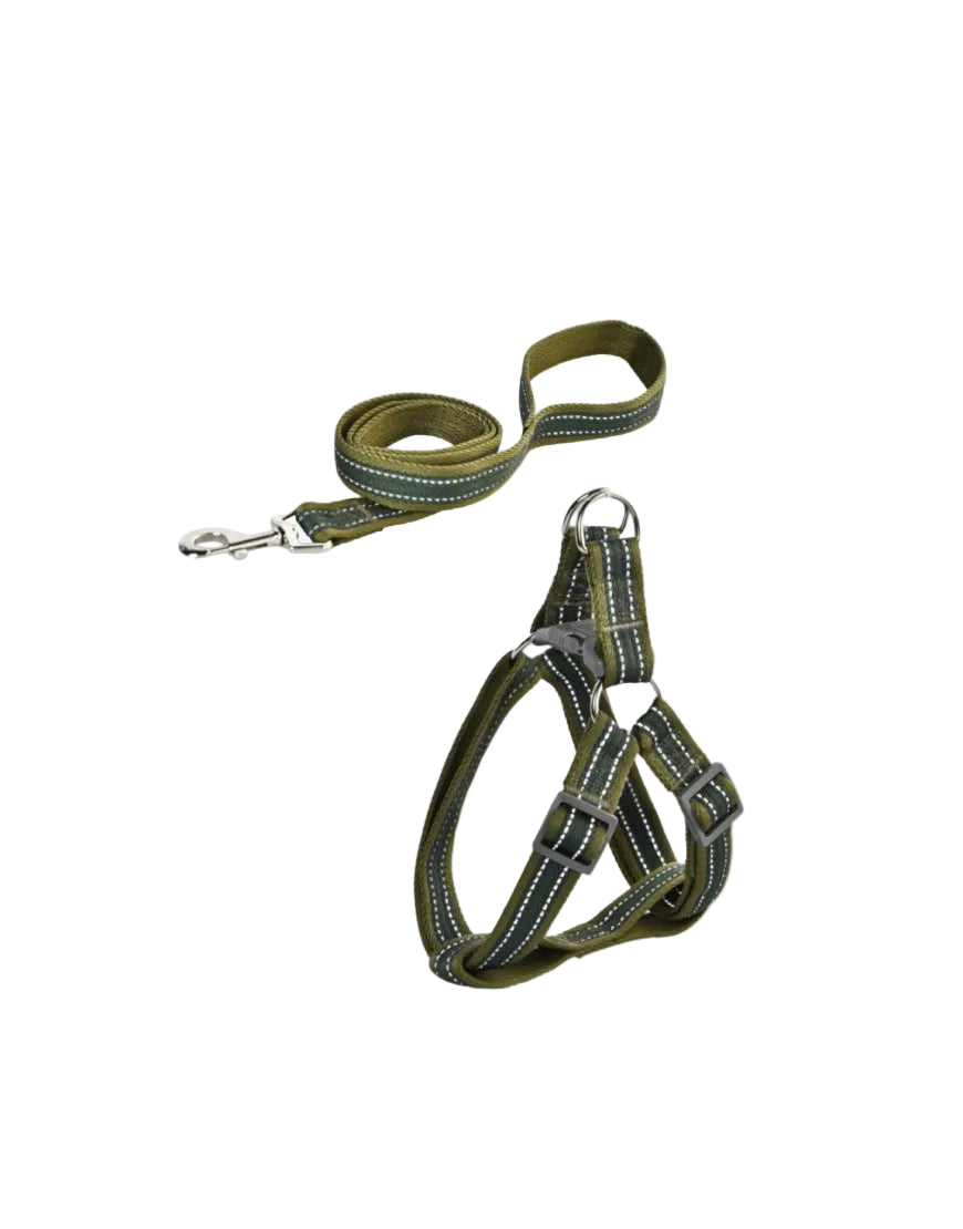 Naomi Dog Leash & Harness L