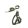 Naomi Dog Leash & Harness L