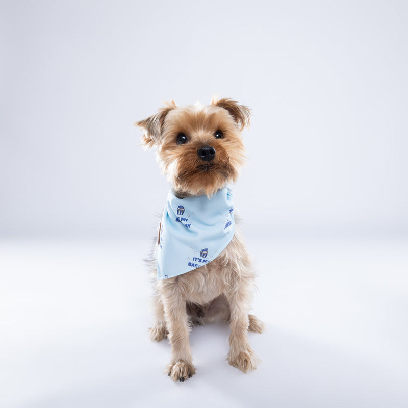 It's My Barkday Blue - Bandana