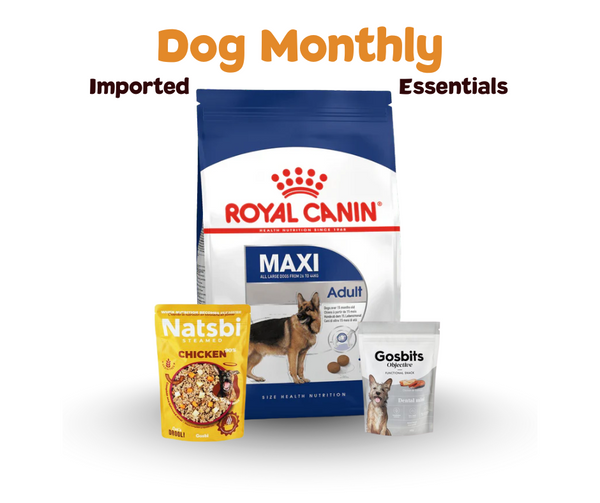 Dog Monthly Essentials Bundle (Imported)