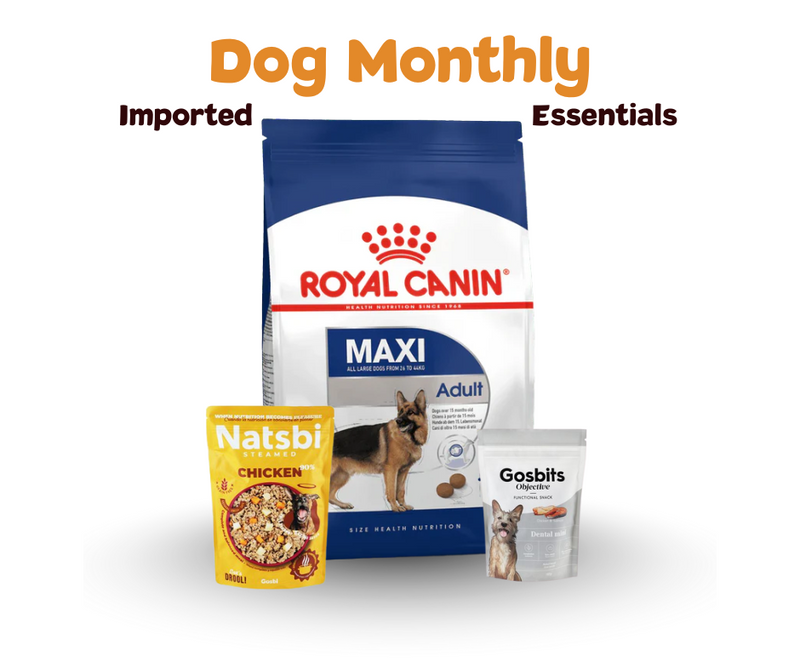Dog Monthly Essentials Bundle (Imported)