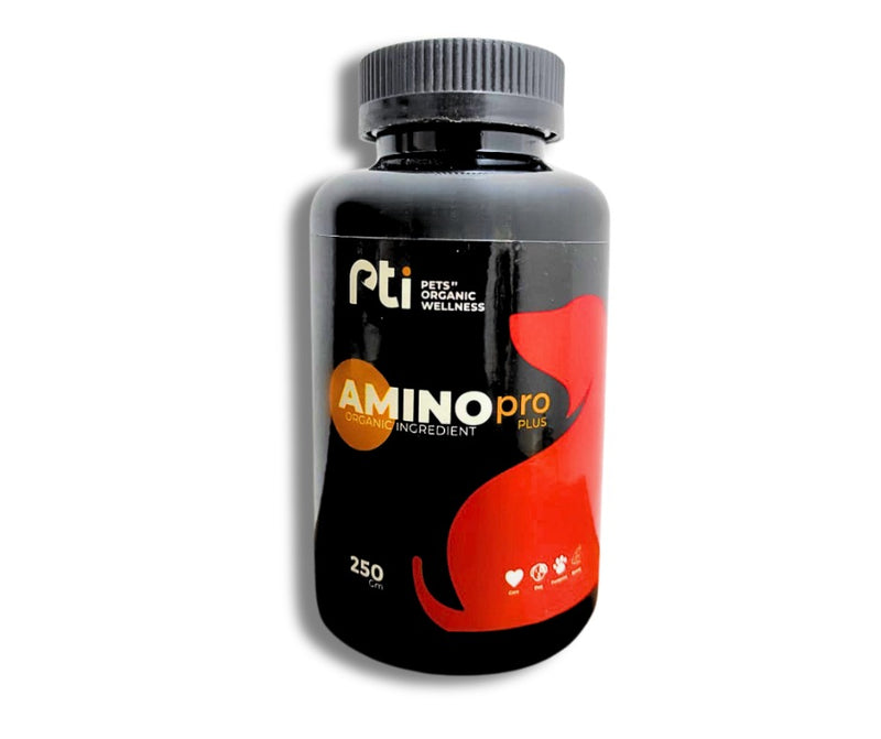 Pti Amino Pro Plus Organic Ingredient 250 gm - PetYard