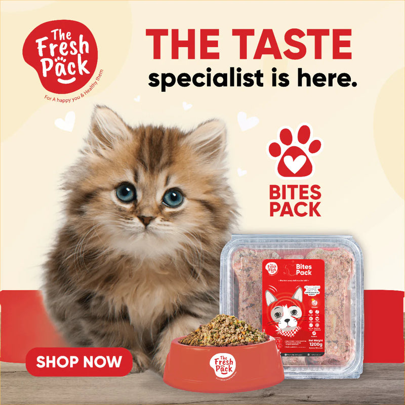 Fresh Pack Bites Pack for Cats - PetYard