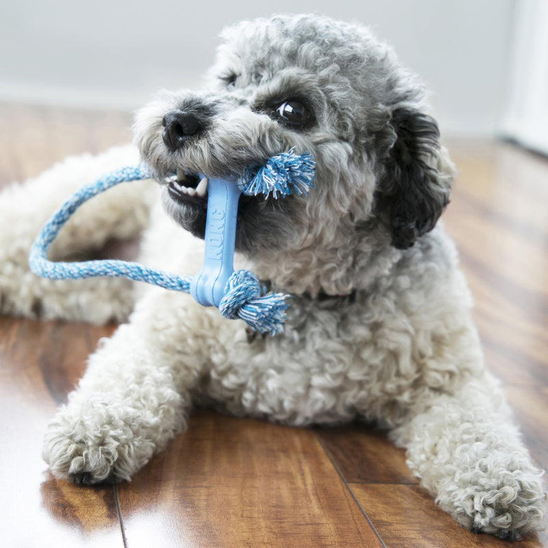 KONG PUPPY GOODIE BONE W/ROPE x-small - PetYard