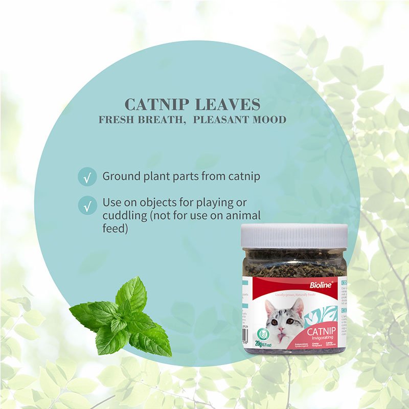 Bioline CatNip Leaves 20g
