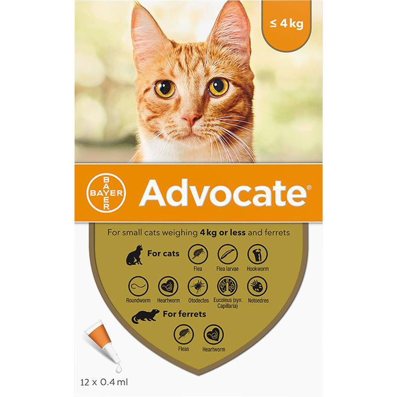 Advocate For Small Cat ( up to 4 kg ) - 1 Pipette - PetYard