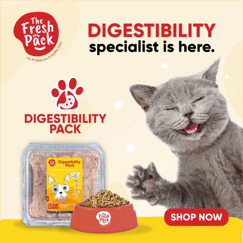 Fresh Pack - Digestibility Pack For Cats - PetYard