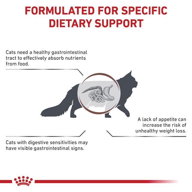 Royal Canin Gastrointestinal For Cat - feline(2 KG) - Dry - PetYard