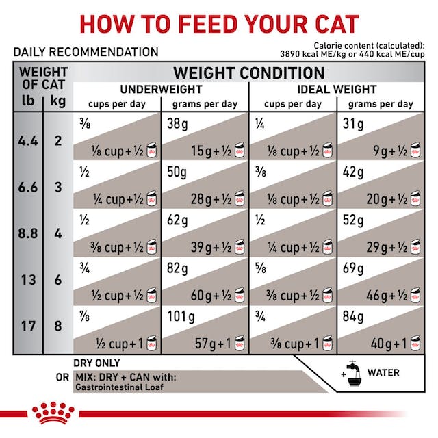 Royal Canin Gastrointestinal For Cat - feline(2 KG) - Dry - PetYard