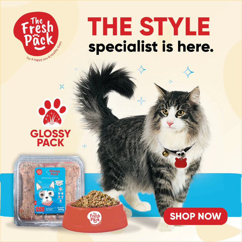 Fresh Pack - Glossy Pack For Cats - PetYard