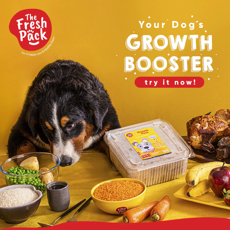 Fresh Pack - Growth Pack For Puppy - PetYard