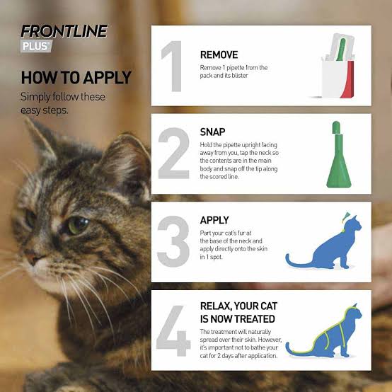 Frontline Combo For Cats - 1 Pipette - PetYard