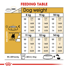 Royal Canin French Bulldog Adult (3 KG)- Dry food for adult dogs over 12 months