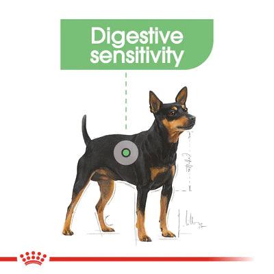 Royal Canin Mini Digestive Care (3 KG) - Dry food for small dogs - PetYard