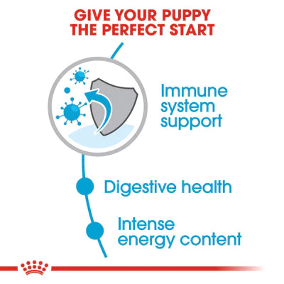 Royal Canin Mini Puppy (2KG) - Dry food for small dogs - PetYard