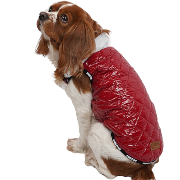 Pawstar Claret Red Moncler Vest (SML/XL/2XL) - PetYard