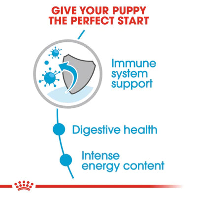 Royal Canin Mini Puppy in Gravy (85 gm\pouch) - wet food for small dogs - PetYard