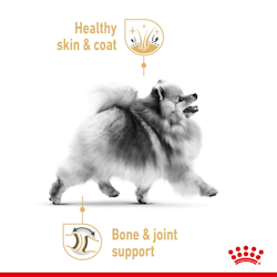 Royal Canin Pomeranian Adult (1.5 KG) - PetYard