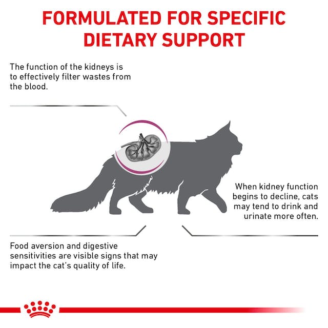 Royal Canin Feline Renal For Cat (2 KG) - Dry food for Renal and chronic kidney diseases - PetYard