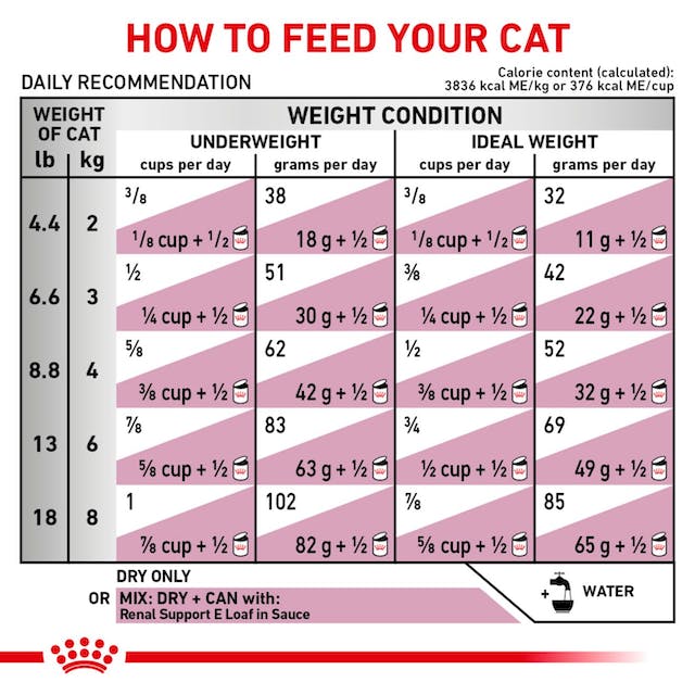 Royal Canin Feline Renal For Cat (2 KG) - Dry food for Renal and chronic kidney diseases - PetYard