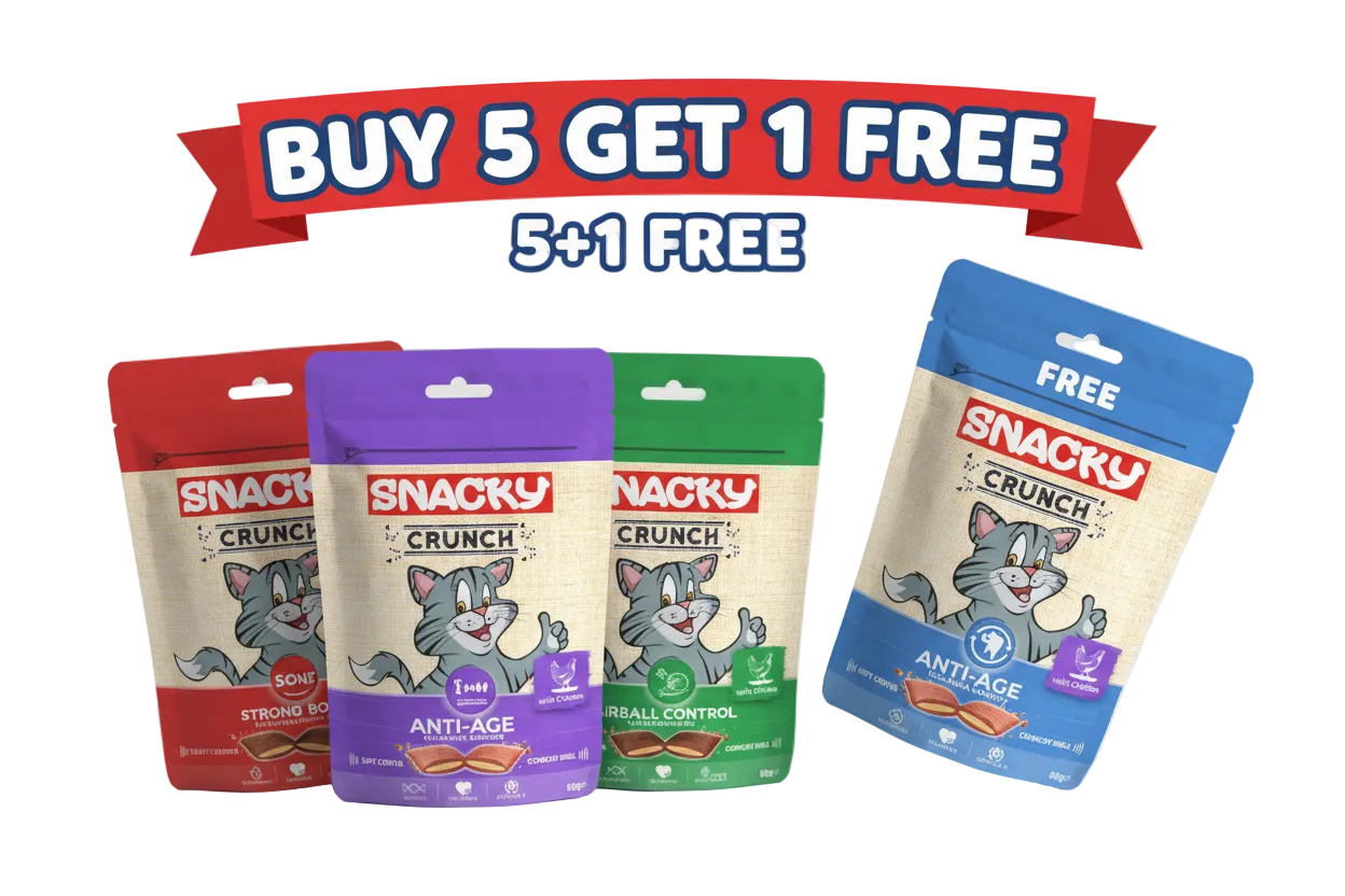 Snacky Bundle Promotion