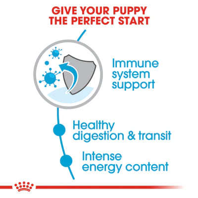 Royal Canin X-Small Puppy (1.5 KG) - Dry food for very small dogs - PetYard