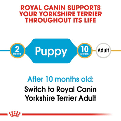 Royal Canin Yorkshire Terrier Puppy (1.5 KG) - Dry food for puppies up to 10 months old - PetYard